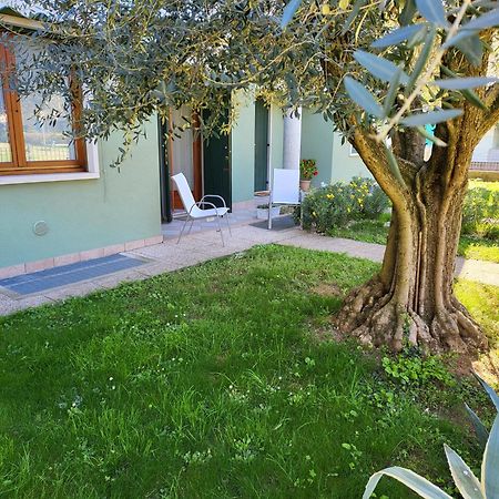شقة La Casa Sul Parco فاليجيو سول مينشيو المظهر الخارجي الصورة
